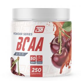 BCAA 2SN 500 гр